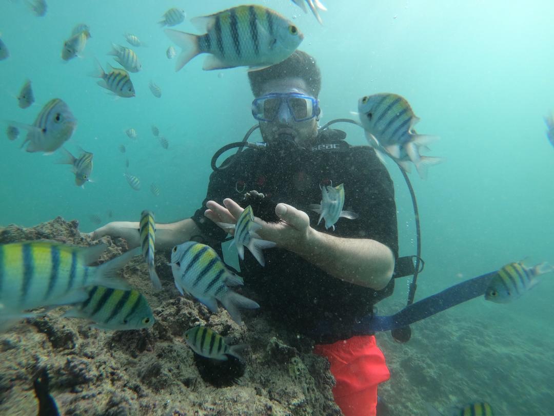 تصاویر صادق حسنی