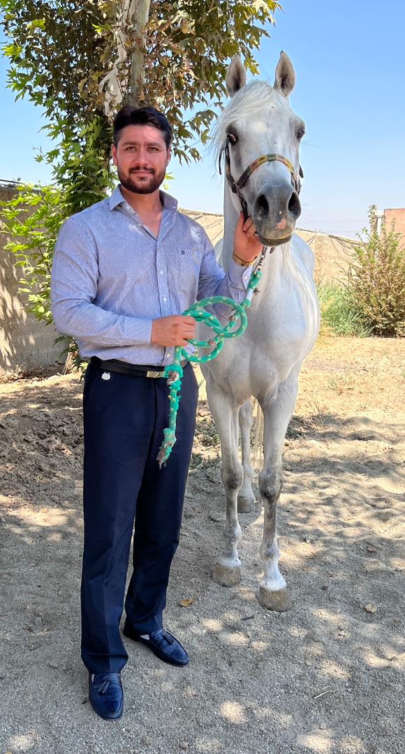 سریال های صادق حسنی